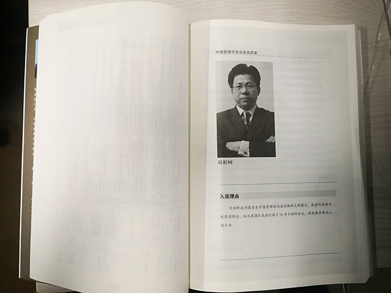 中國(guó)管理咨詢業(yè)實(shí)戰(zhàn)名家內(nèi)頁1