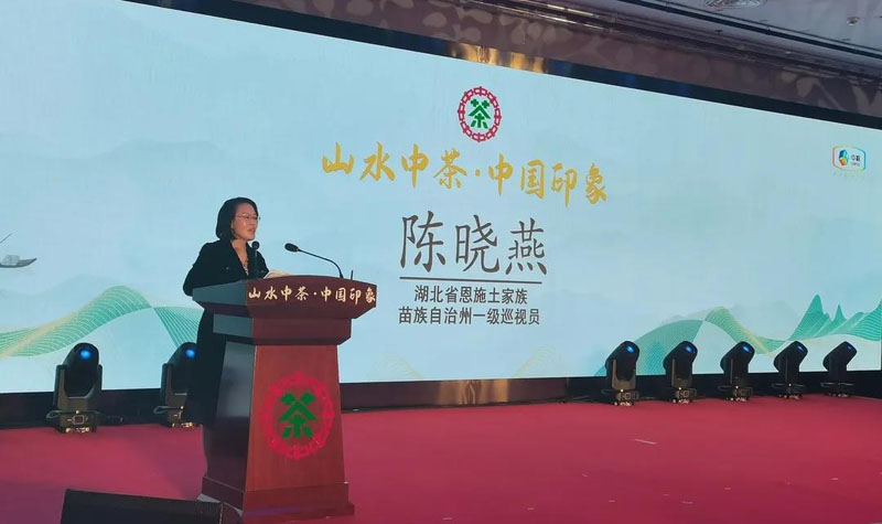 恩施州一級(jí)巡視員陳曉燕致辭